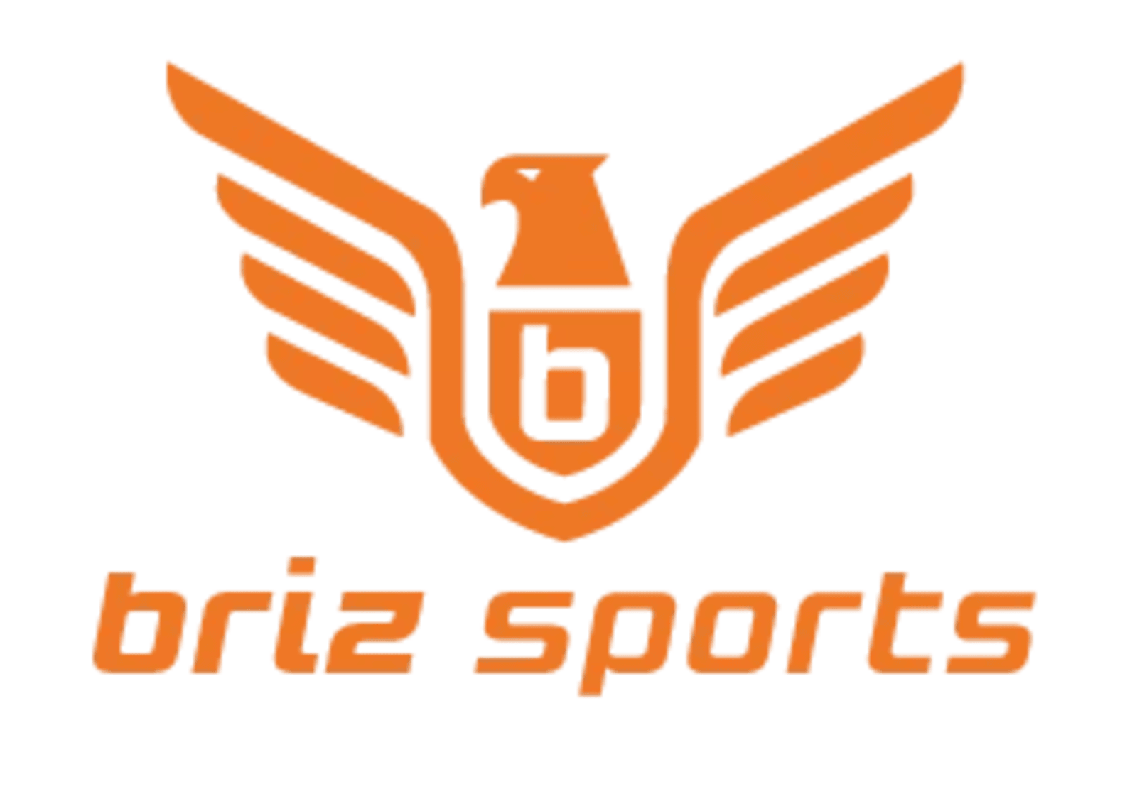 Briz Sports